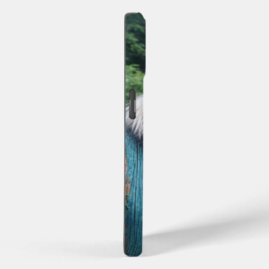 Bearded Collie gluren over oude hek Case-Mate iPhone Case (Achterkant / Rechts)