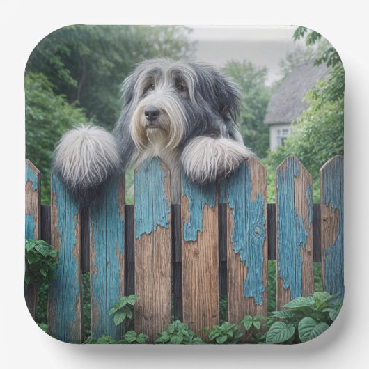 Bearded Collie gluren over oude hek Papieren Bordje (Voorkant)