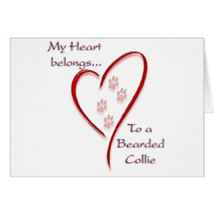 Bearded Collie Heart hoort erbij