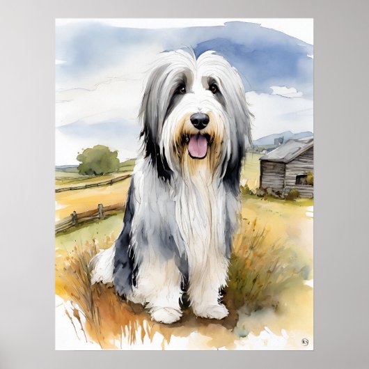 Bearded Collie - Hond Art Print (Voorkant)
