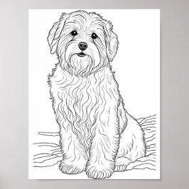 Bearded Collie Hond Volwassen Kleuring Poster