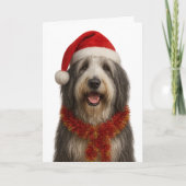 Bearded Collie in a Santa hat Christmas card Kaart (Voorkant)