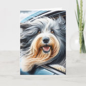 Bearded Collie in autoraam Kaart (Voorkant)
