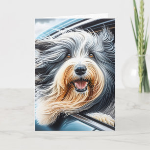 Bearded Collie in autoraam Kaart