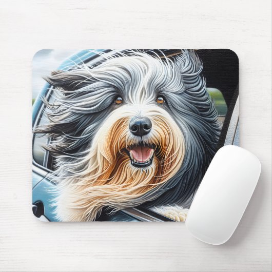 Bearded Collie in autoraam Muismat (Met muis)