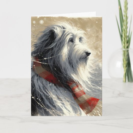 Bearded Collie in sneeuwvlokken Kaart (Voorkant)