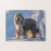 Bearded Collie in the snow Legpuzzel (Horizontaal)