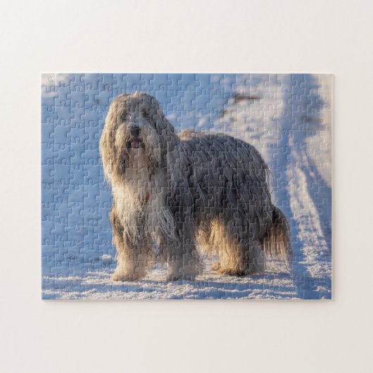 Bearded Collie in the snow Legpuzzel (Horizontaal)