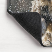 Bearded Collie in waterplas Muismat (Hoek)