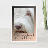Bearded Collie Kaart (Voorkant)