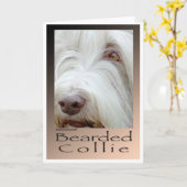 Bearded Collie Kaart (Gele Bloem)