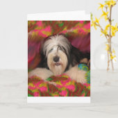Bearded Collie Kaart (Gele Bloem)