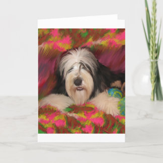 Bearded Collie Kaart