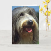 Bearded Collie Kaart (Gele Bloem)