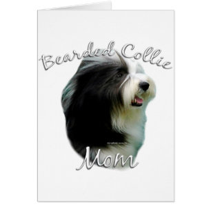 Bearded Collie Ma 2