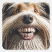 Bearded Collie met een Toothy grijns Vierkante Sticker (Voorkant)