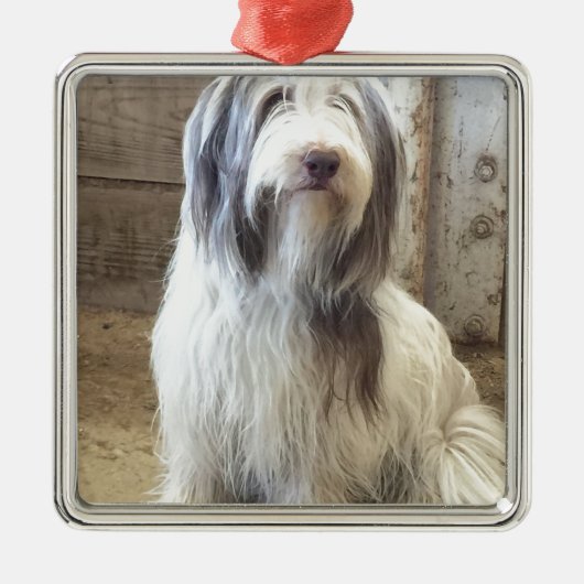 Bearded Collie Metalen Ornament (Voorkant)