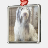 Bearded Collie Metalen Ornament (Links)