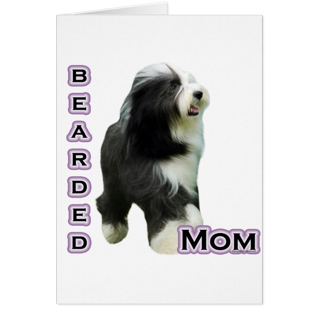 Bearded Collie Moeder 4 (Voorkant)