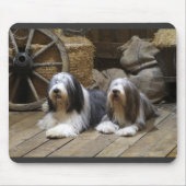 Bearded Collie Muismat (Voorkant)