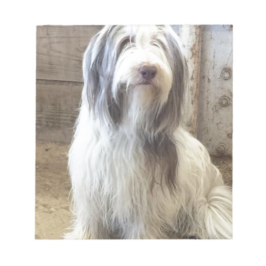 Bearded Collie Notitieblok (Voorkant)