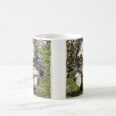 Bearded Collie op de Mok van de Looppas (Center)