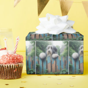 Bearded Collie Op een armoedig hek Cadeaupapier