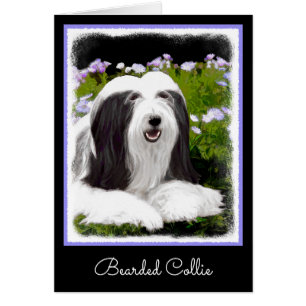Bearded Collie Painting - Cute Original Dog Art