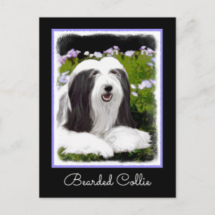 Bearded Collie Painting - Cute Original Dog Art Briefkaart