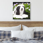 Bearded Collie Painting - Cute Original Dog Art Canvas Afdruk (Insitu (Slaapkamer))