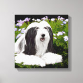 Bearded Collie Painting - Cute Original Dog Art Canvas Afdruk (Voorkant)