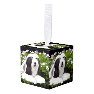 Bearded Collie Painting - Cute Original Dog Art Decoratie