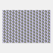 Bearded Collie Painting - Cute Original Dog Art Inpakpapier Vel (Voorkant)