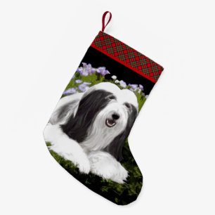Bearded Collie Painting - Cute Original Dog Art Kleine Kerstsok