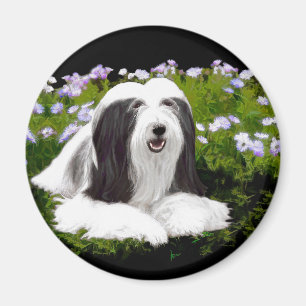 Bearded Collie Painting - Cute Original Dog Art Magneet