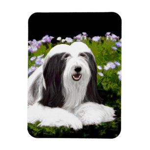Bearded Collie Painting - Cute Original Dog Art Magneet