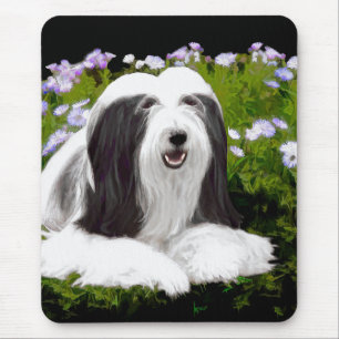 Bearded Collie Painting - Cute Original Dog Art Muismat