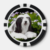 Bearded Collie Painting - Cute Original Dog Art Poker Chips (Voorkant)