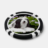 Bearded Collie Painting - Cute Original Dog Art Poker Chips (Enkel)