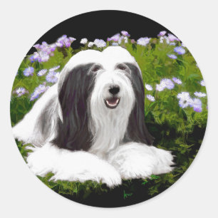 Bearded Collie Painting - Cute Original Dog Art Ronde Sticker
