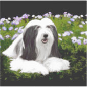 Bearded Collie Painting - Cute Original Dog Art Sticker (Voorkant)