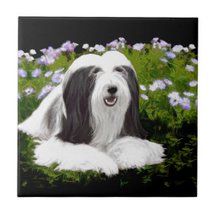 Bearded Collie Painting - Cute Original Dog Art Tegeltje