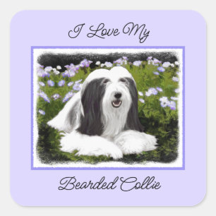 Bearded Collie Painting - Cute Original Dog Art Vierkante Sticker