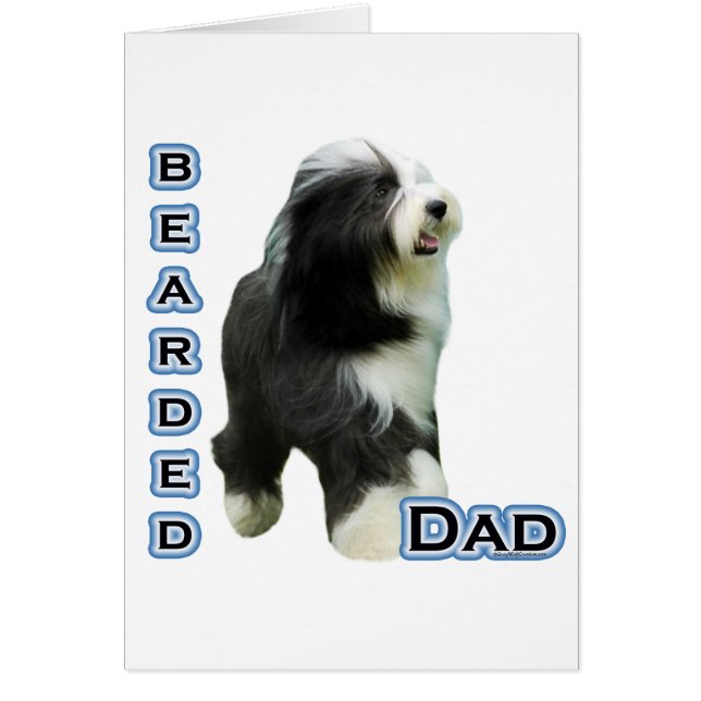 Bearded Collie Pap 4 (Voorkant)
