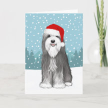 Bearded Collie Schattige Dog Christmas Custom