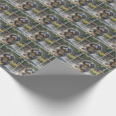 Bearded Collie spatten in plas Cadeaupapier (Hoek)