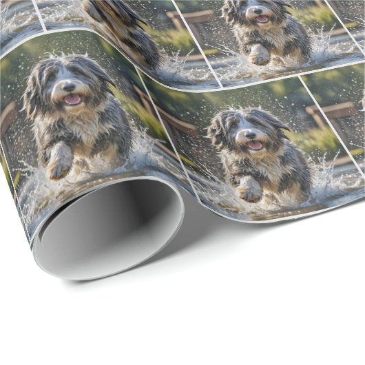 Bearded Collie spatten in plas Cadeaupapier (Rol Hoek)