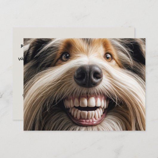 Bearded Collie Toothy Smile Briefkaart (Voorkant / Achterkant)
