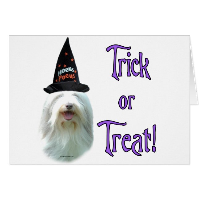 Bearded Collie Trick (Voorkant Horizontaal)