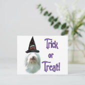 Bearded Collie Trick Briefkaart (Staand voorkant)